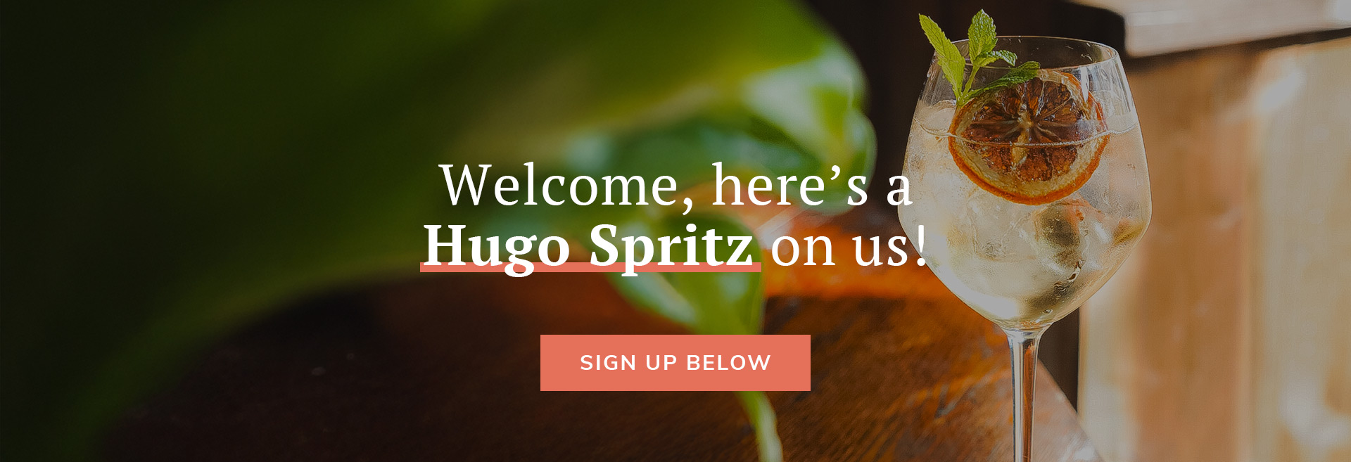 Sign up to the newsletter at The Crown & Sceptre